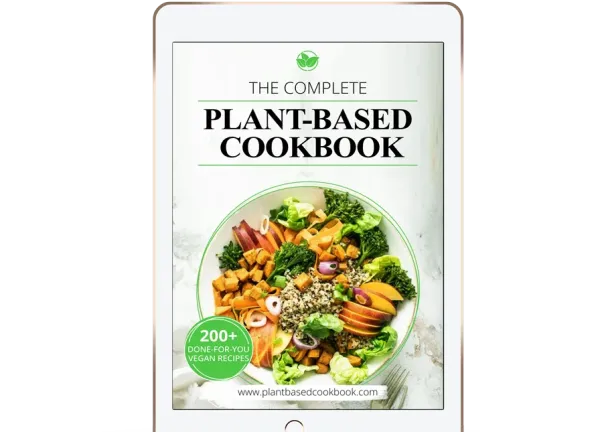 Affiliate Reviews Now